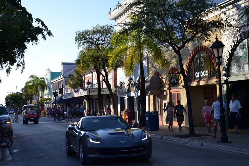 DSC_0734 (Kopiowanie).JPG