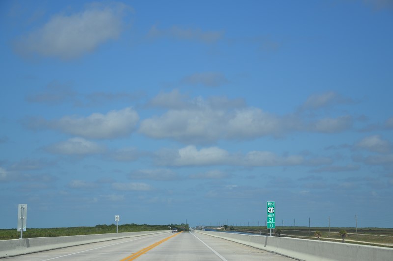 DSC_0099 (Kopiowanie).JPG