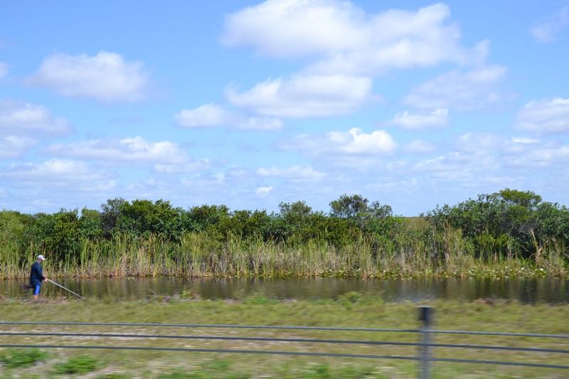 DSC_0114 (Kopiowanie).JPG