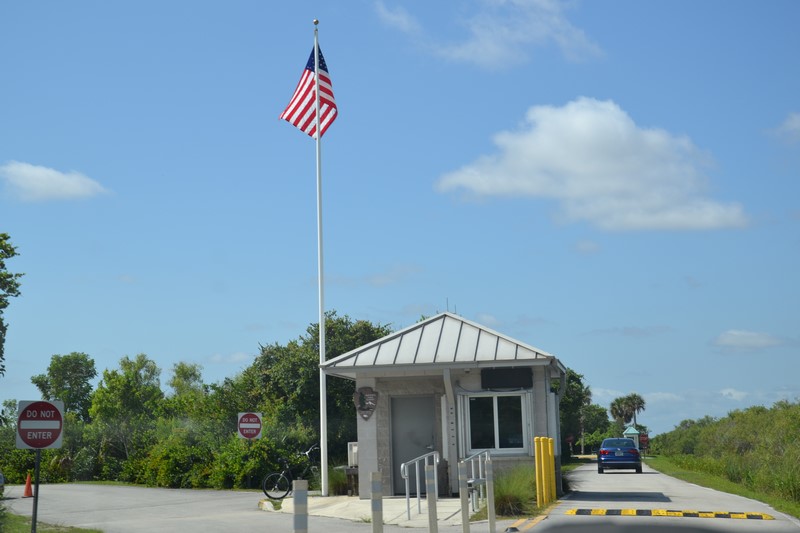 DSC_0123 (Kopiowanie).JPG