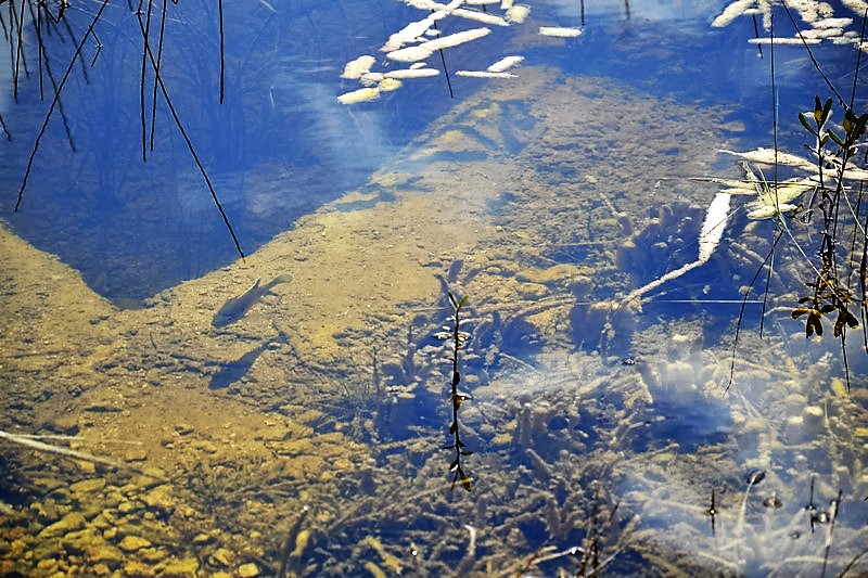 DSC_0174 (Kopiowanie).JPG