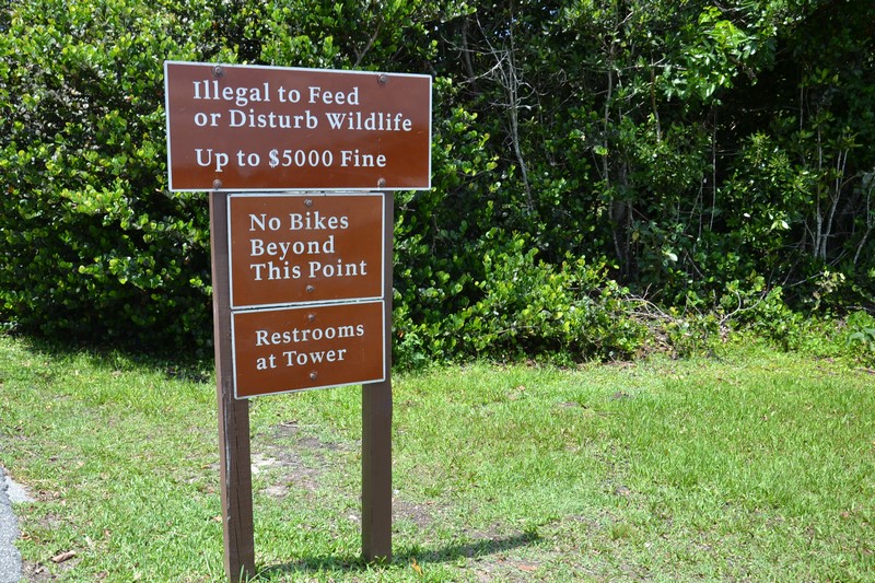 DSC_0193 (Kopiowanie).JPG