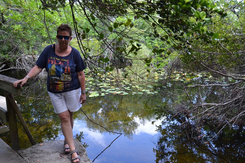 DSC_0208 (Kopiowanie).JPG