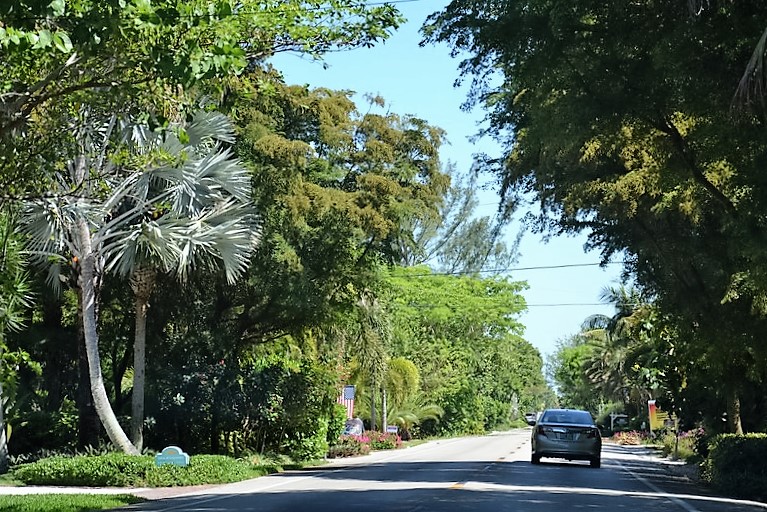 DSC_0878 (Kopiowanie).JPG