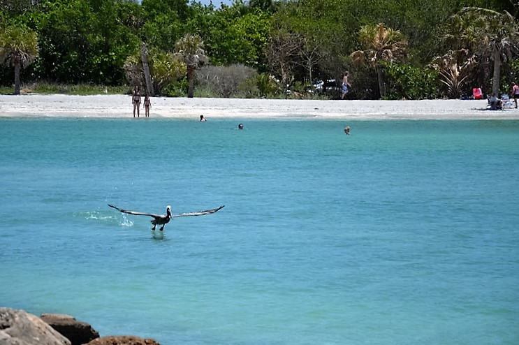 DSC_0026 (Kopiowanie).JPG