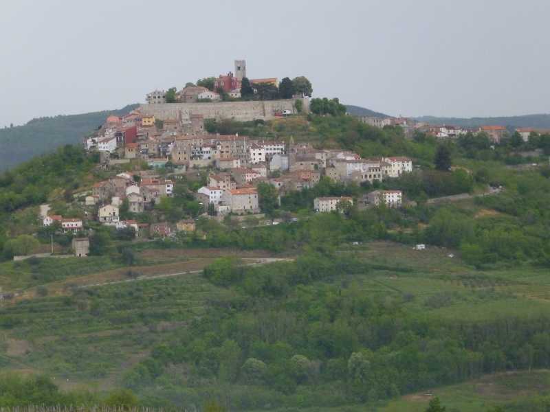 P1020342 (800x600).jpg