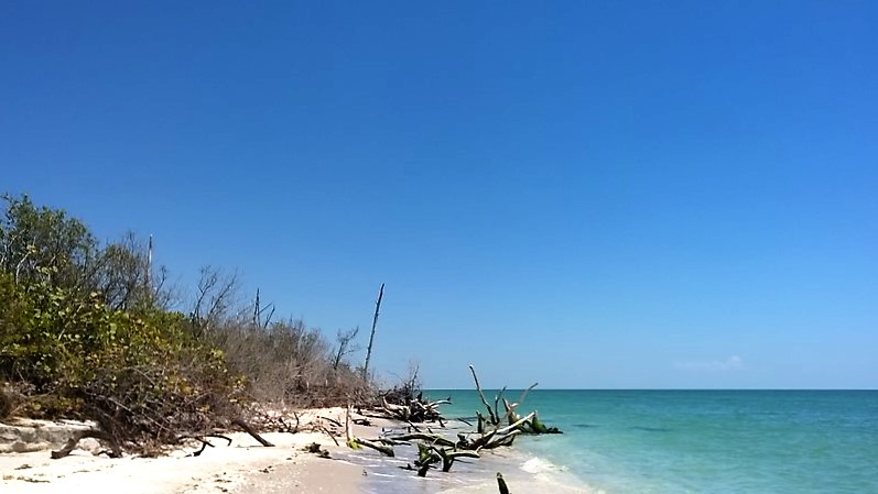 DSC_0038 (Kopiowanie).jpg