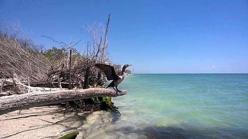 DSC_0038c (Kopiowanie).jpg