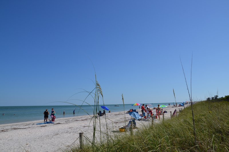 DSC_0044 (Kopiowanie).JPG