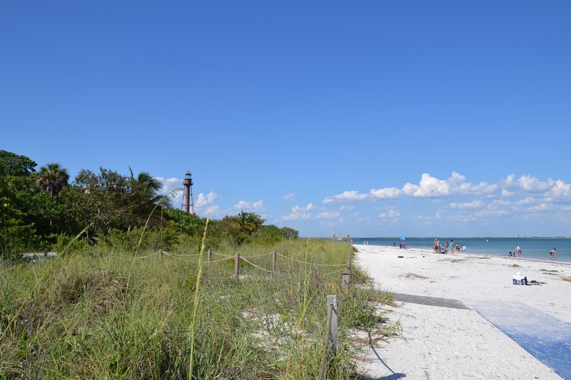 DSC_0046 (Kopiowanie).JPG