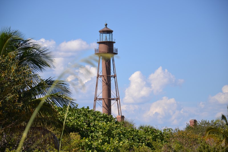 DSC_0048 (Kopiowanie).JPG