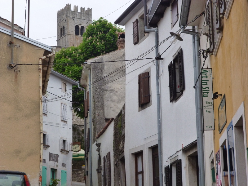 P1020348 (800x600).jpg