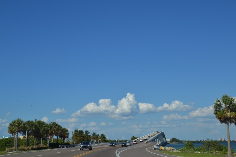 DSC_0098 (Kopiowanie).JPG