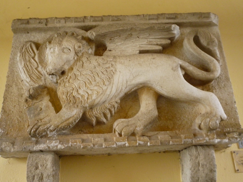 P1020359 (800x600).jpg