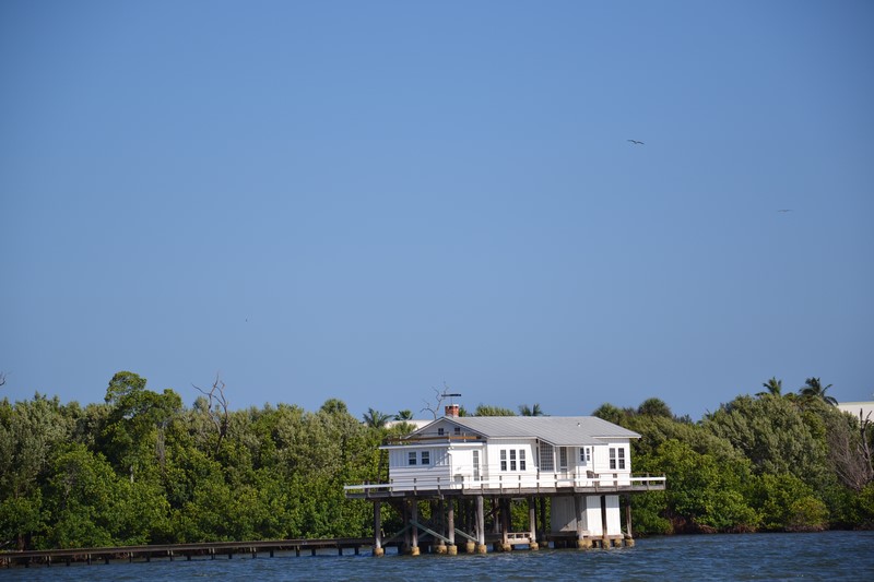 DSC_0034 (Kopiowanie).JPG