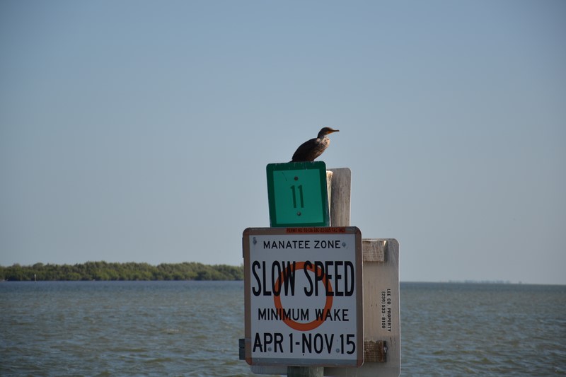 DSC_0035 (Kopiowanie).JPG