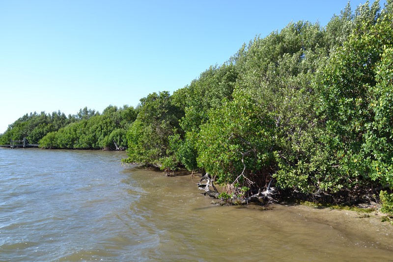 DSC_0050 (Kopiowanie).JPG