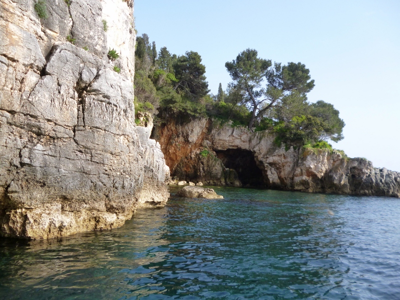 P1020112 (800x600).jpg