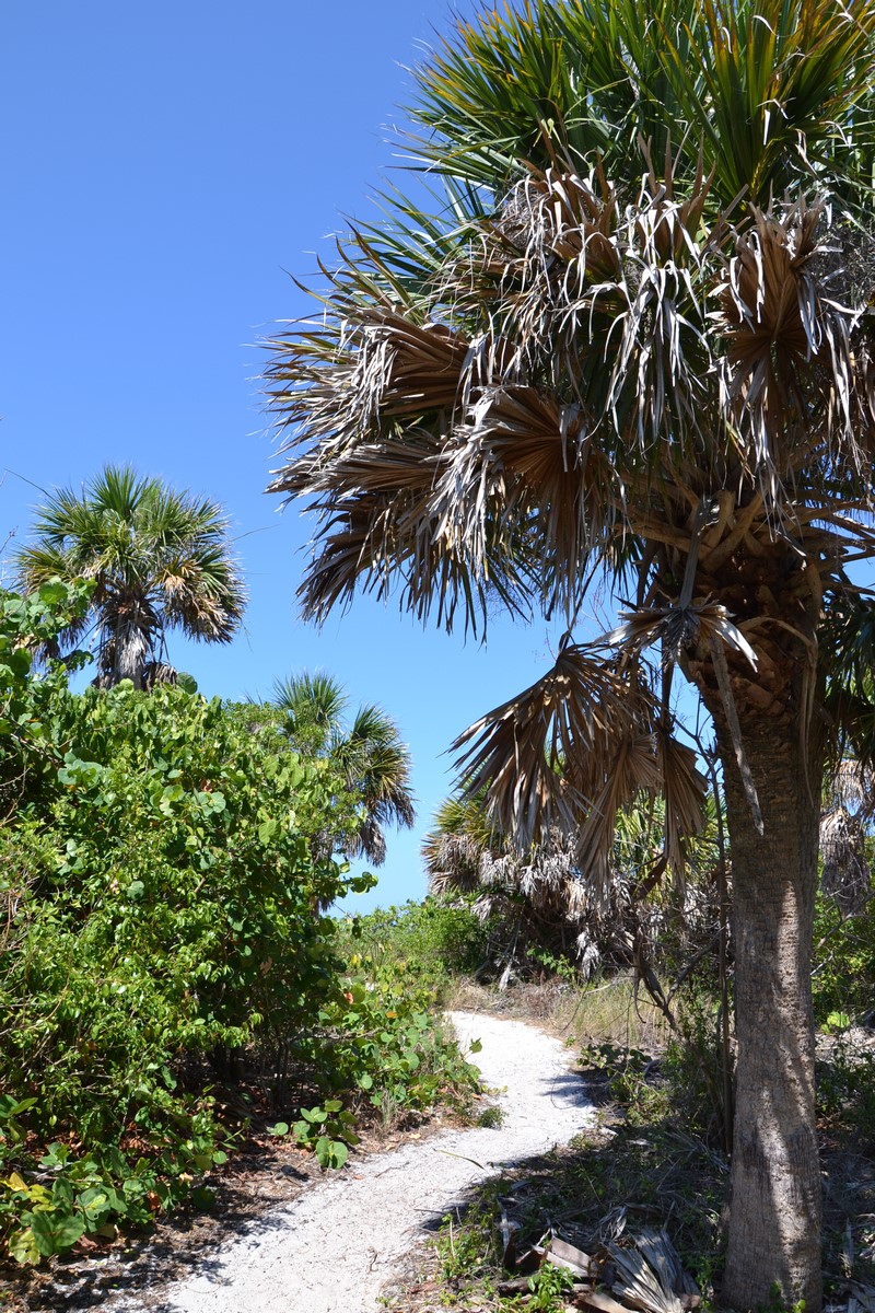 DSC_0148 (Kopiowanie).JPG