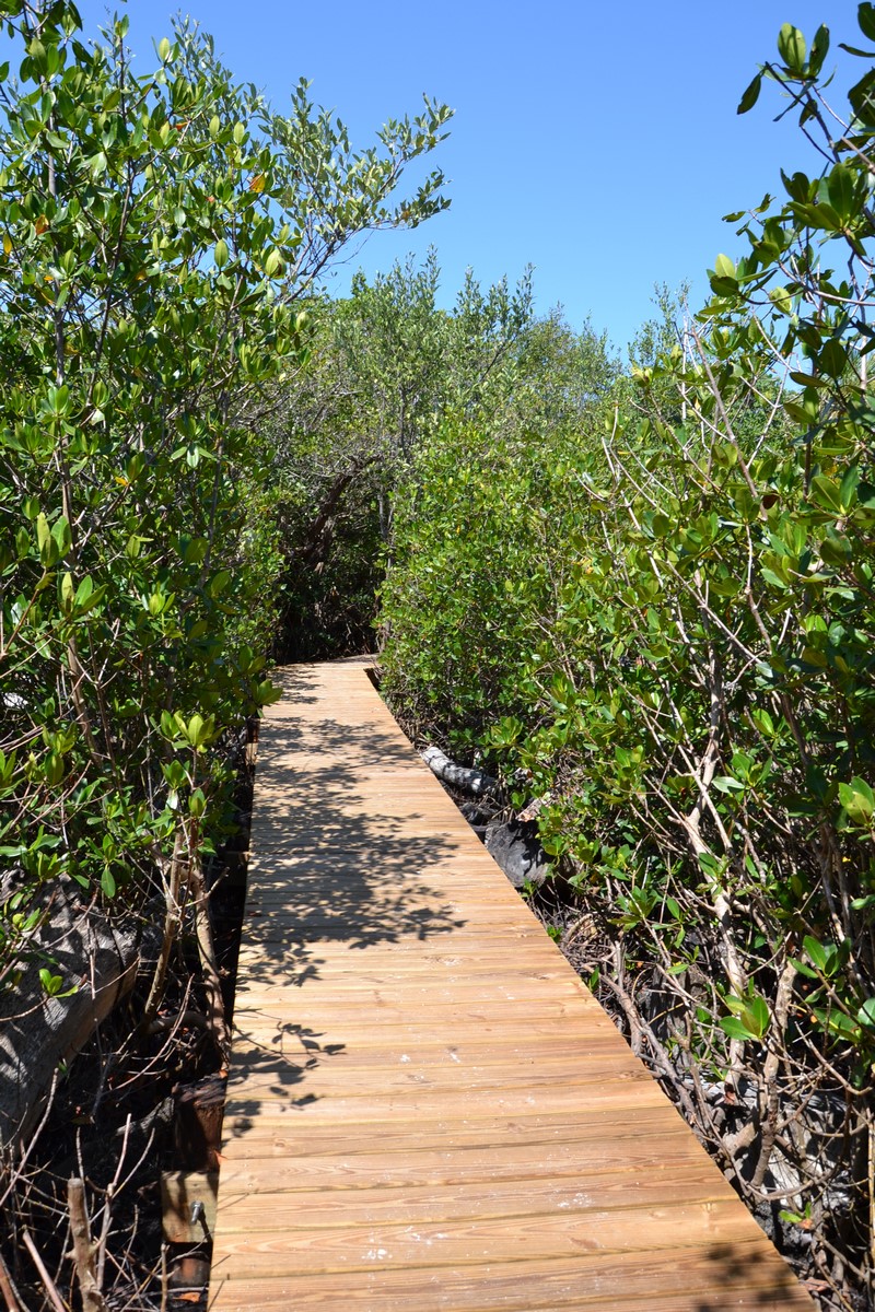 DSC_0152 (Kopiowanie).JPG