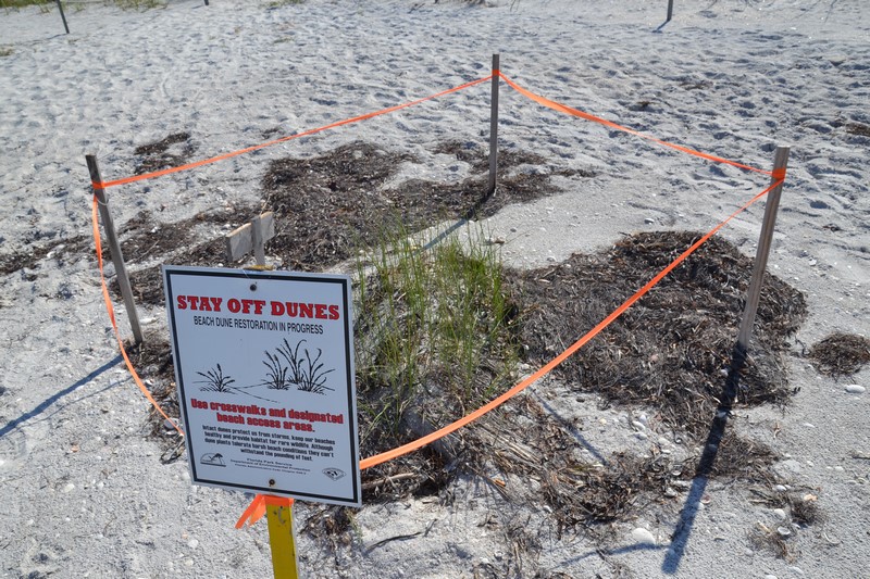 DSC_0057 (Kopiowanie).JPG