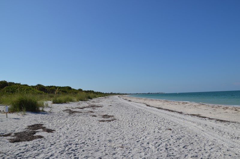 DSC_0058 (Kopiowanie).JPG