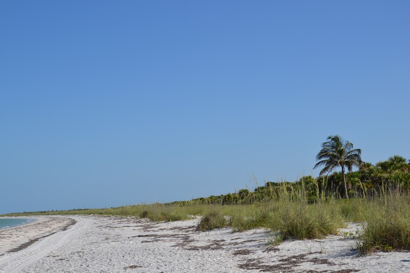 DSC_0060 (Kopiowanie).JPG