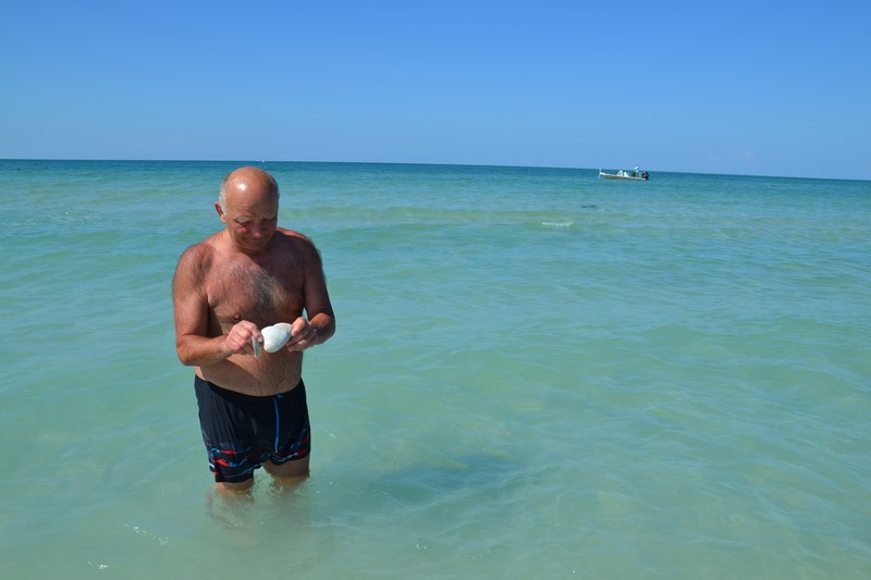 DSC_0097 (Kopiowanie).JPG