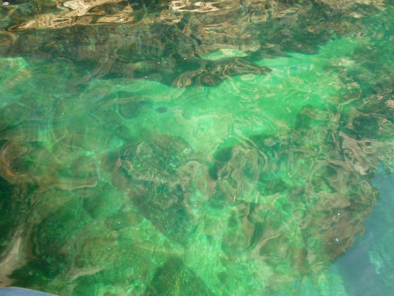 P1020107 (800x600).jpg