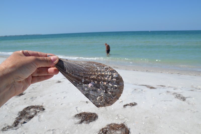 DSC_0099 (Kopiowanie).JPG