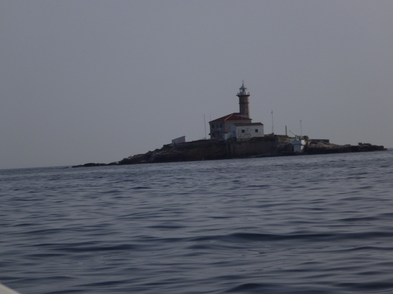 P1020131 (800x600).jpg