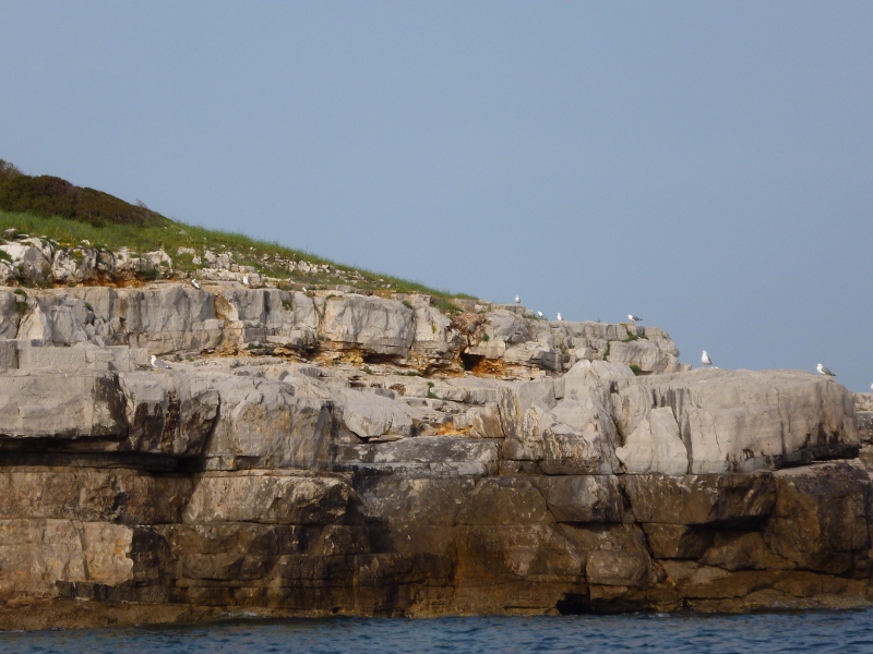 P1020149 (800x600).jpg