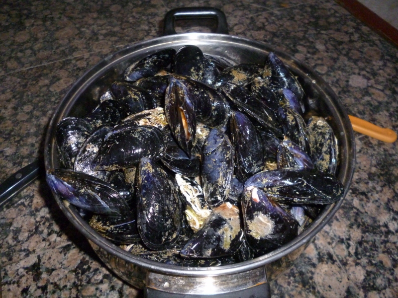 P1020204 (800x600).jpg