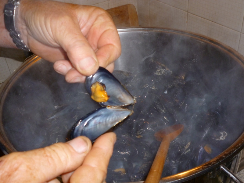 P1020207 (800x600).jpg