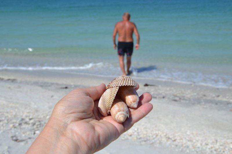 DSC_0122 (Kopiowanie).JPG