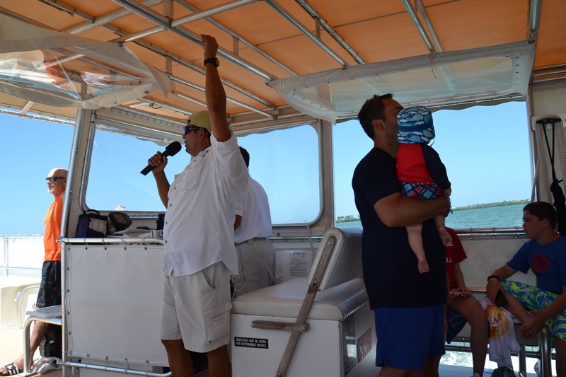 DSC_0155 (Kopiowanie).JPG