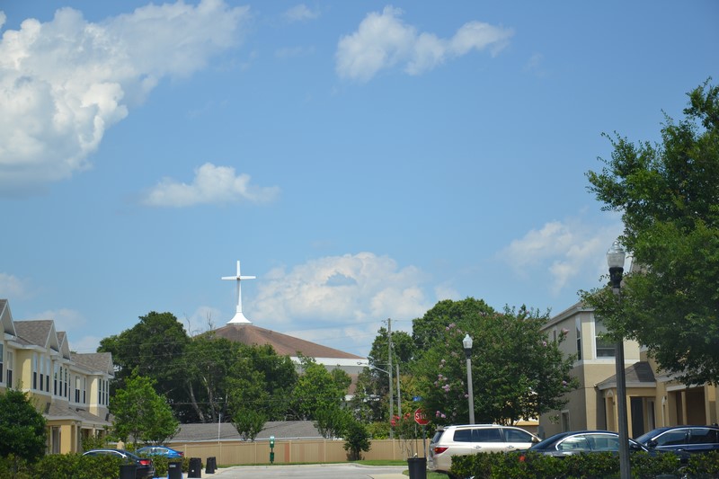 DSC_0230 (Kopiowanie).JPG