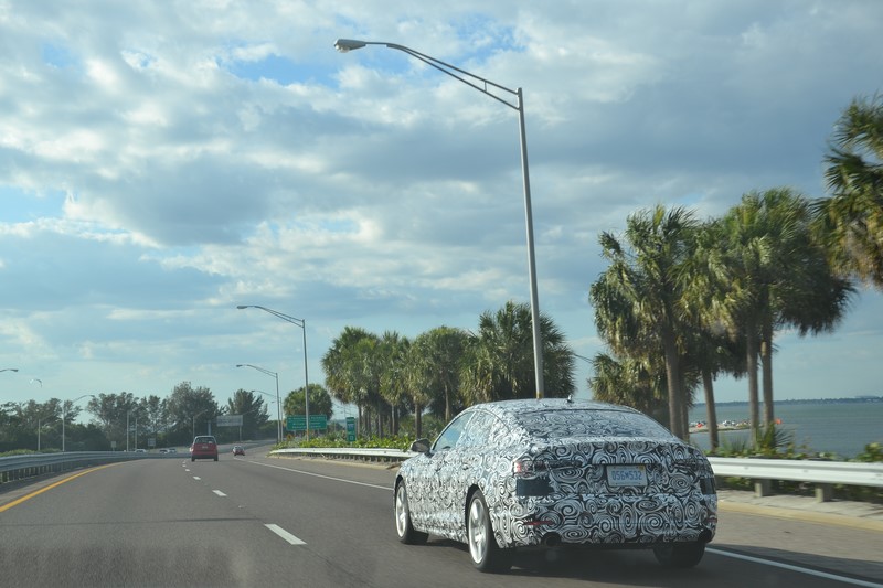 DSC_0282 (Kopiowanie).JPG