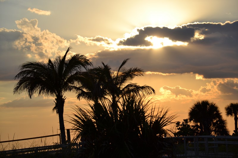 DSC_0302 (Kopiowanie).JPG