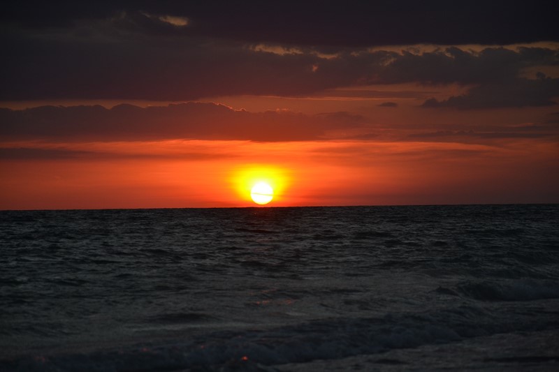 DSC_0347 (Kopiowanie).JPG