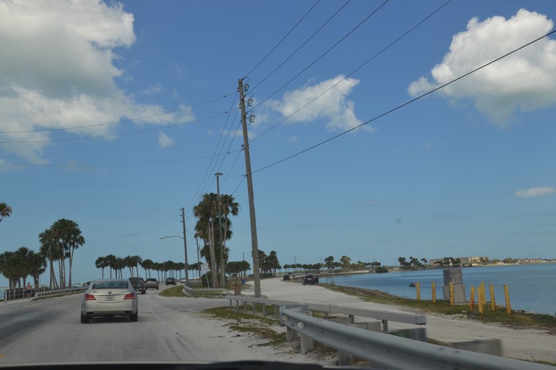 DSC_0402 (Kopiowanie).JPG