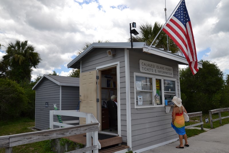 DSC_0423 (Kopiowanie).JPG