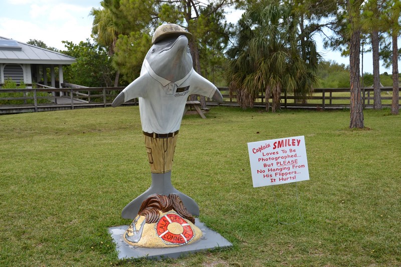 DSC_0425 (Kopiowanie).JPG