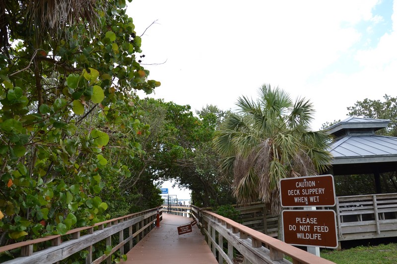 DSC_0427 (Kopiowanie).JPG