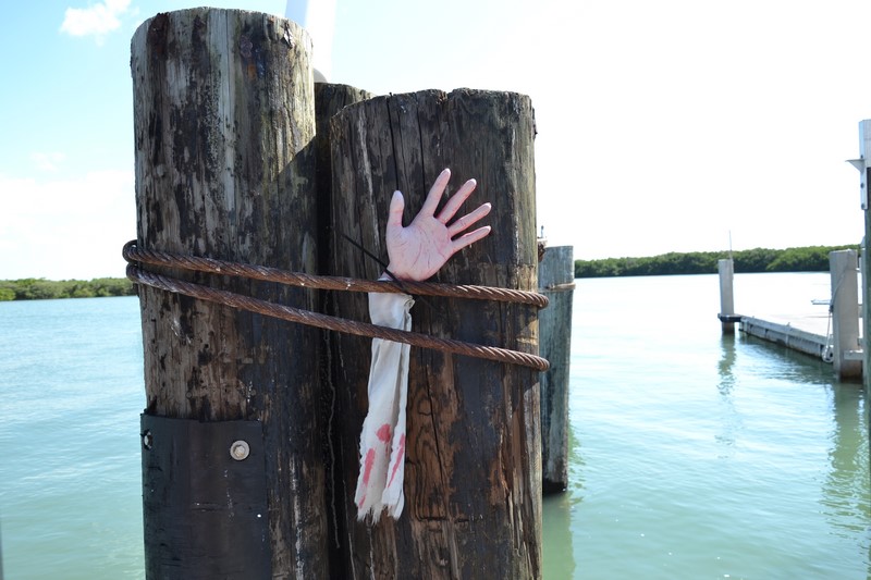 DSC_0631 (Kopiowanie).JPG