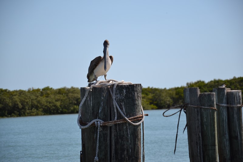 DSC_0635 (Kopiowanie).JPG