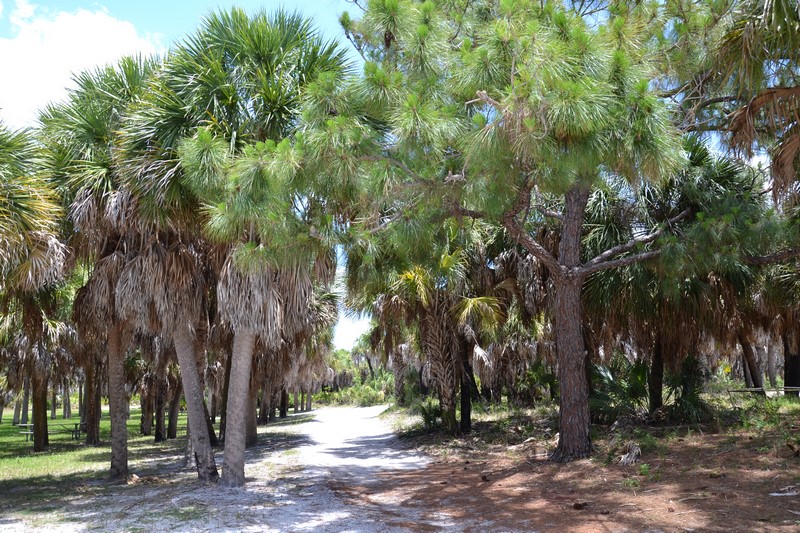 DSC_0469 (Kopiowanie).JPG