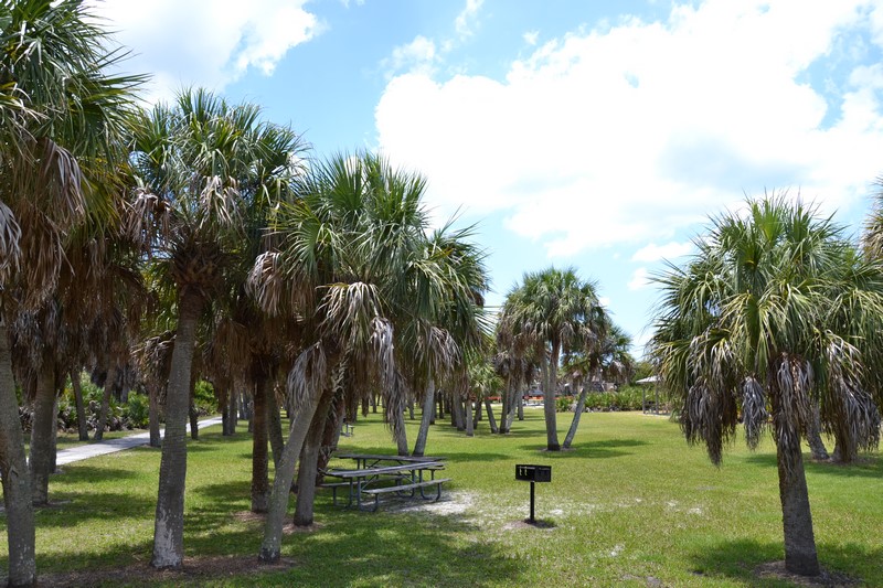 DSC_0470 (Kopiowanie).JPG