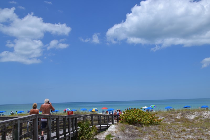 DSC_0477 (Kopiowanie).JPG