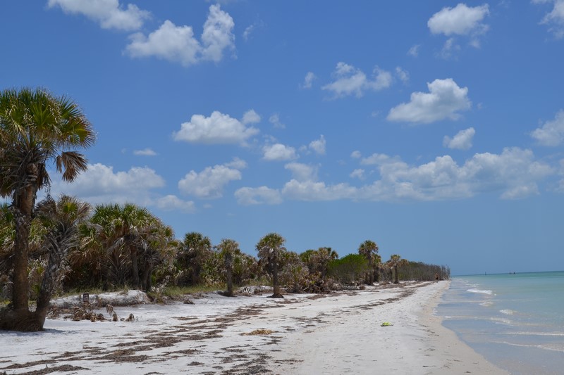 DSC_0511 (Kopiowanie).JPG